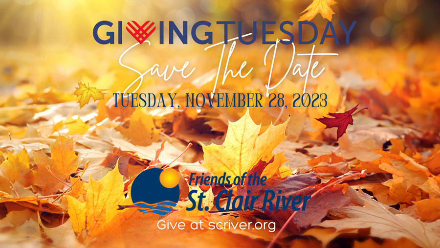What Happens on the Wednesday After Giving Tuesday?