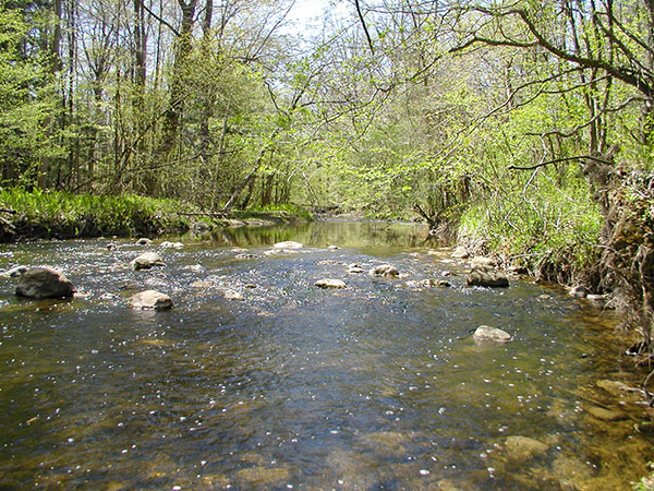 Pine River Watershed